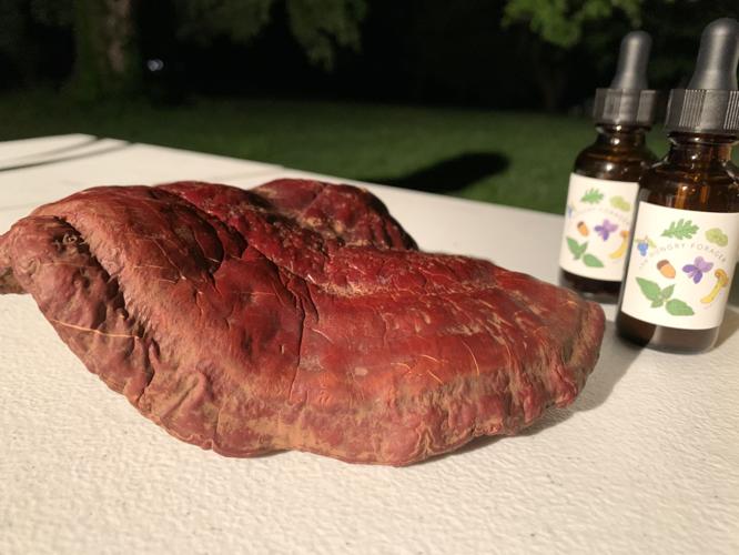 Hungry Forager Mushrooms2