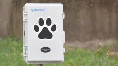 Dog microchipping box