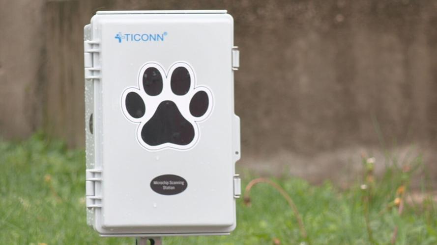 Dog microchipping box