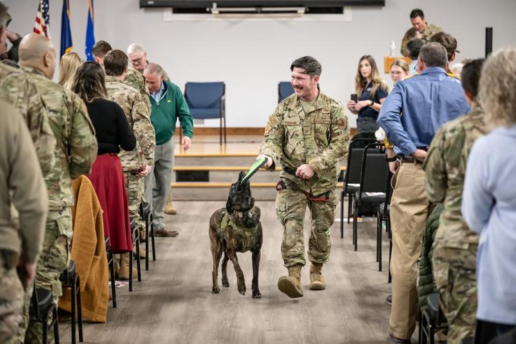 K9 Callie, only search-and-rescue dog in DOD, retires from Kentucky Air Guard
