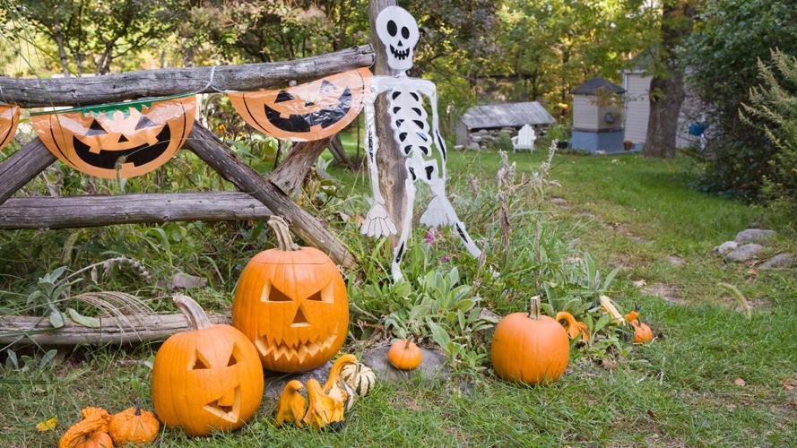wide_halloween bg L2.jpg