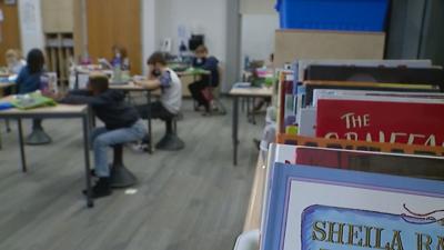 Students in school (generic)