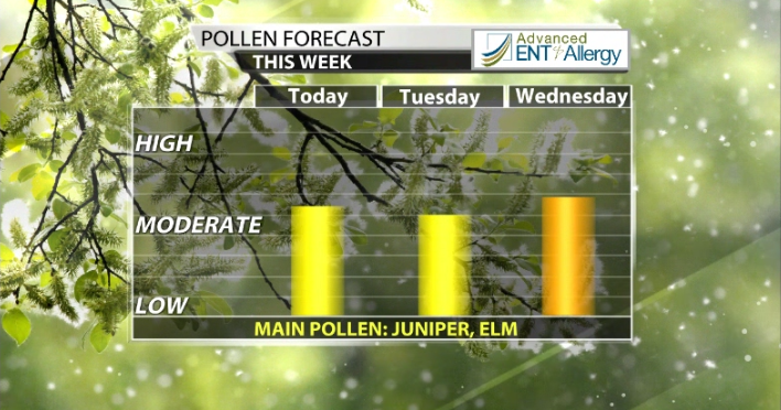 Wdrb Exploding Tree Tree Pollen on the rise! | Weather Blog | wdrb.com