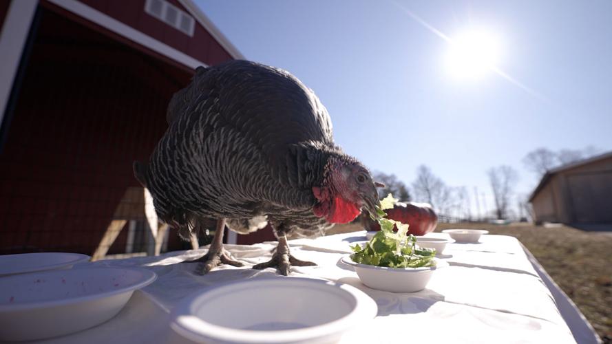 ThanksLiving 6.jpg
