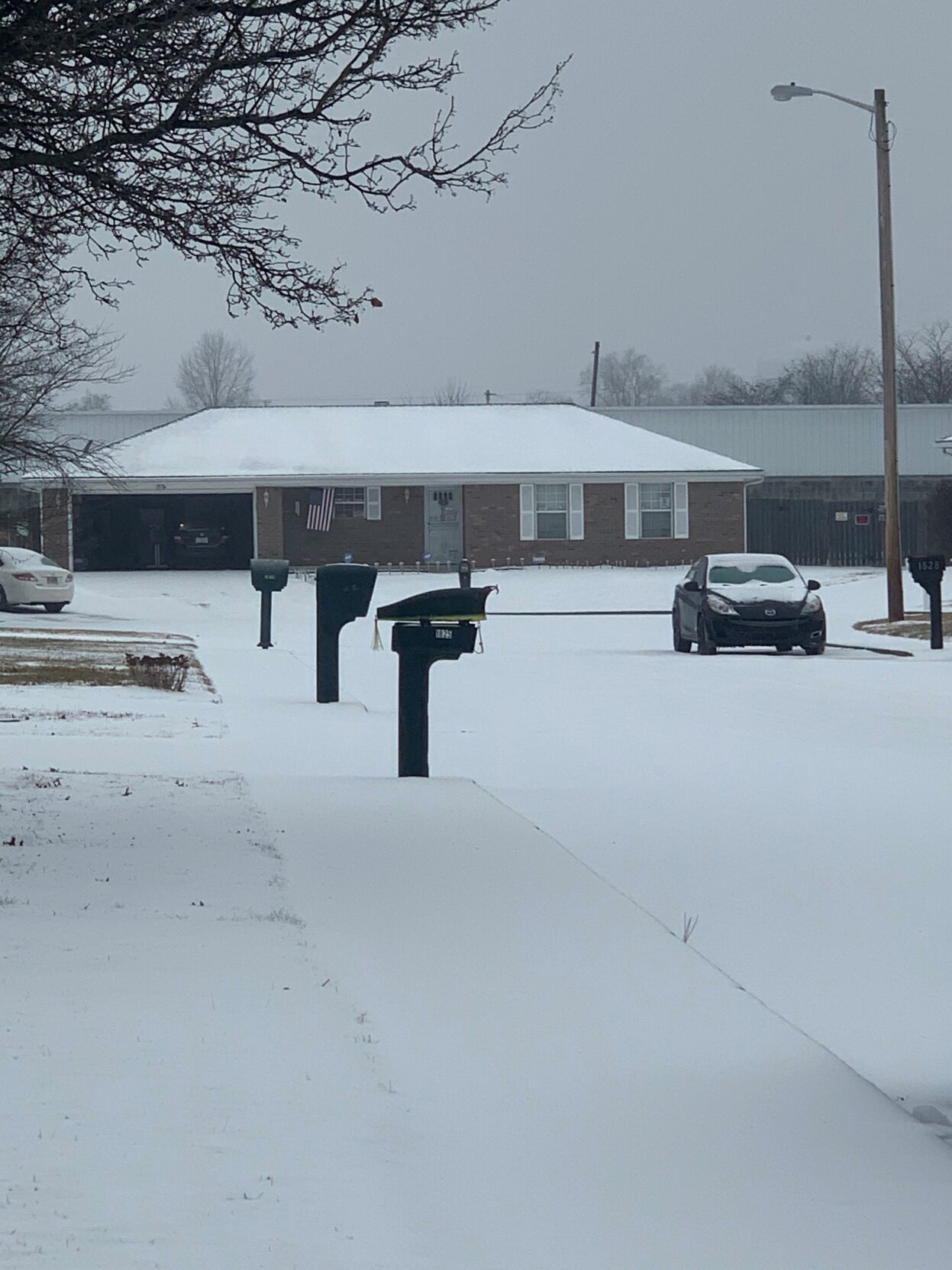 SNOW-NEW ALBANY-2-15-21 (2).jpg