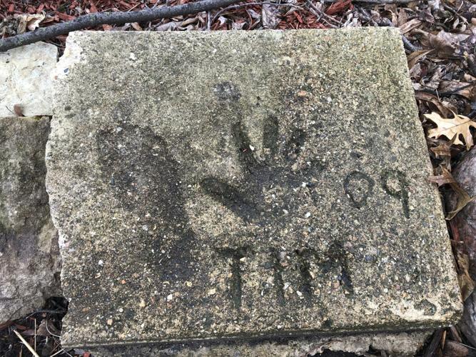 Timmothy-Pitzen - STONE IN THE YARD IN ILLINOIS AP - 4-4-19 1.jpg