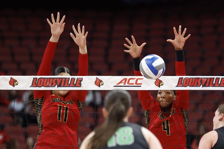 University of Louisville volleyball