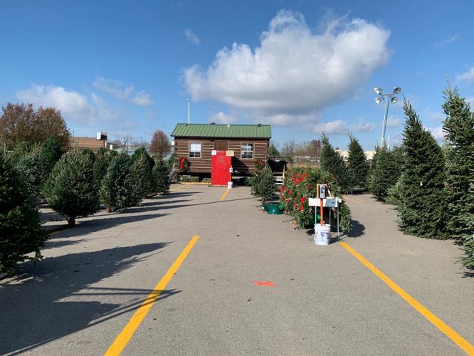 Martin's Christmas Tree Lot