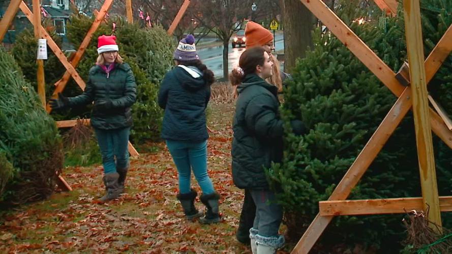 GIRLS SCOUT CHRISTMAS TREES STOLEN 12-2-19 (2).jpg