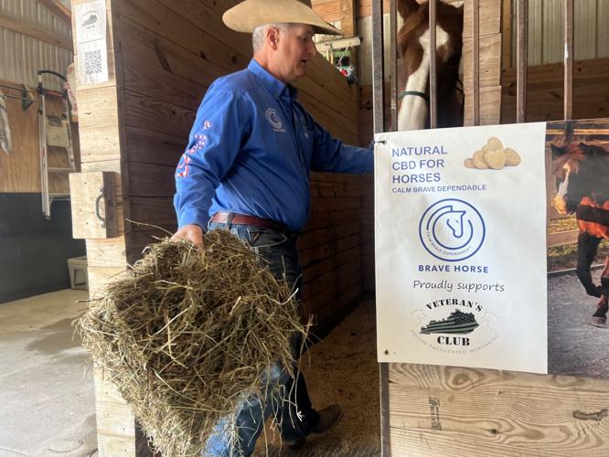 Veteran's Club encouraging others to use equine therapy to heal from trauma