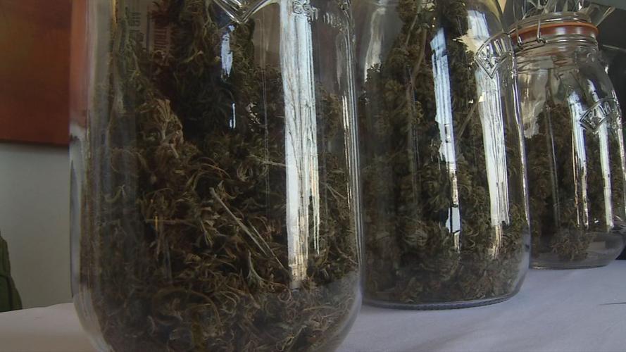 Hemp CBD Expo 11-16-19 (1).jpg