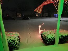 WINTER STORM -  NORTH VERNON - MELISSA TILLERY HOLLOWAY   12-23-2022.jpg