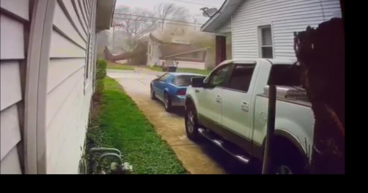 Storm video captures tree falling on a house near Iroquois Park in ...