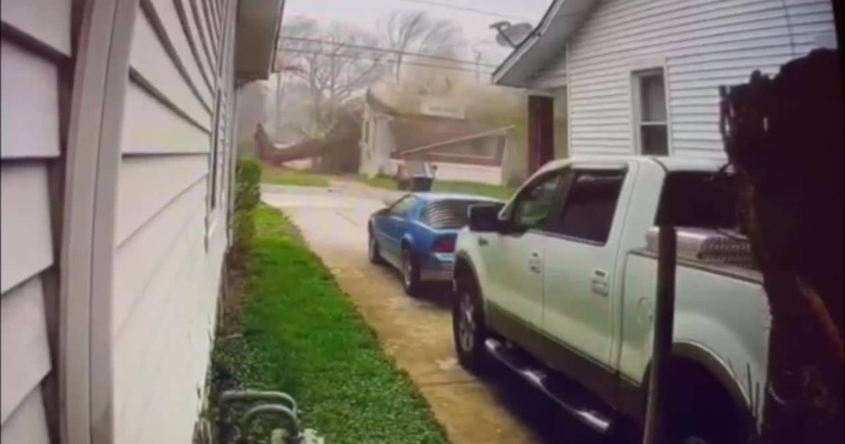 Wdrb Exploding Tree Storm video captures tree falling on a house near Iroquois Park in ...