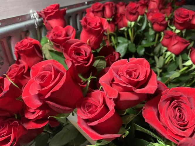 Derby 149 roses 5-3-23