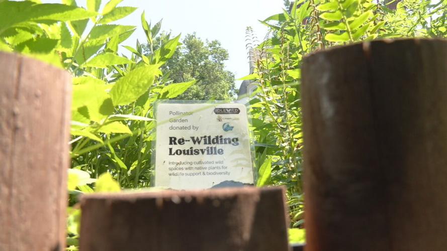 Beechwood Park (3).jpeg