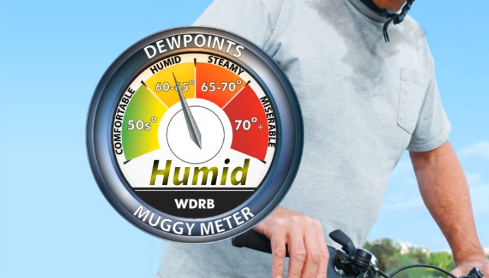 muggy meter.png