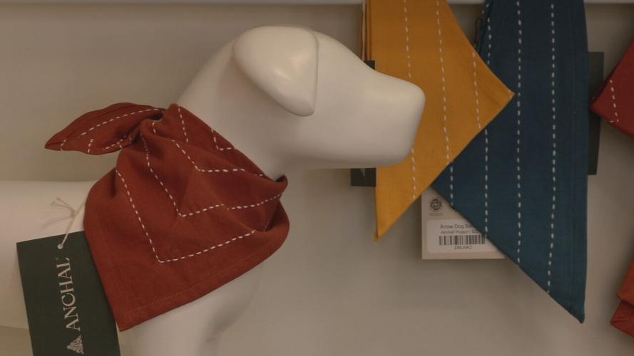 ANCHAL STOREFRONT OPENS (1).jpeg