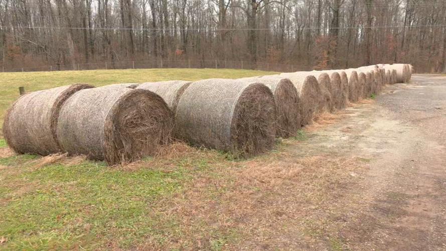 LIVESTOCK SUPPLIES FOR TORNADO VICTIMS.jpeg