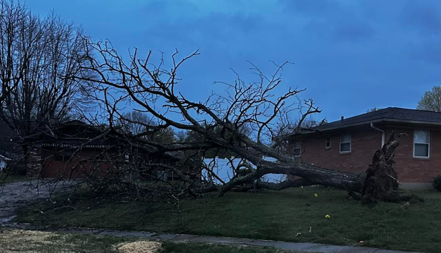 Storm damage in Louisville's Cloverleaf neighborhood