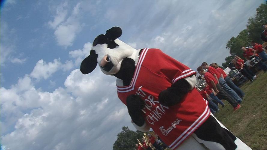The Chick-fil-A 'Eat More Chicken' cow