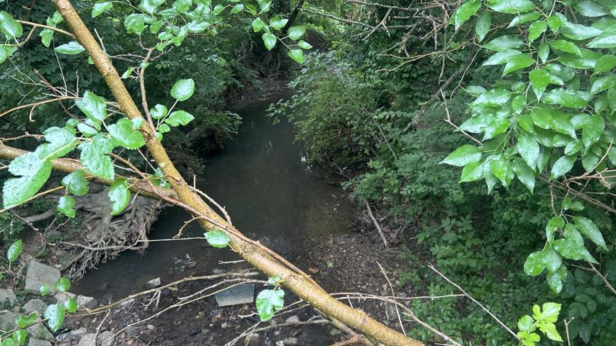 New Albany creek paint situation 2.jpg