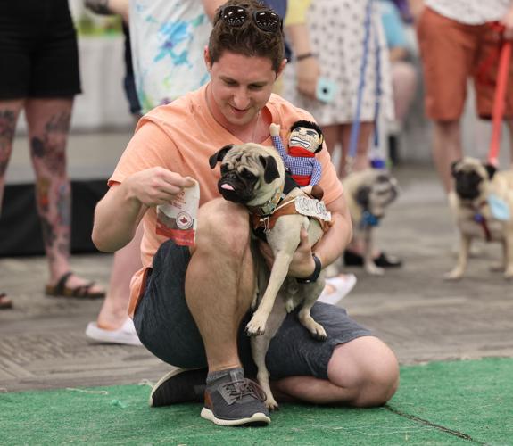 Races held at Pugfest