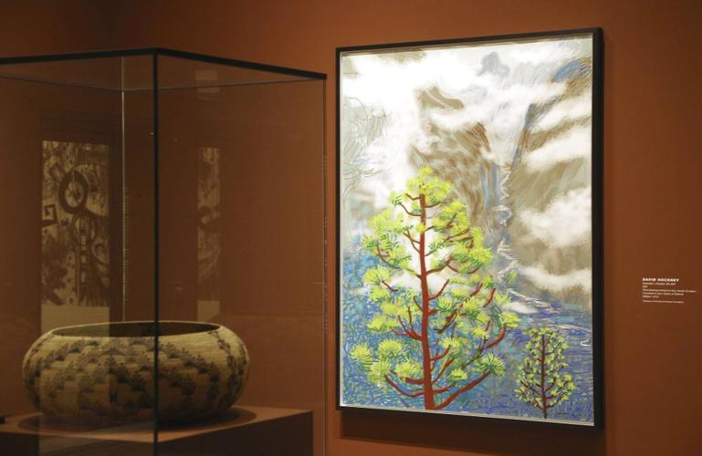 Hockney Yosemite Art 10-27-19 AP.jpeg
