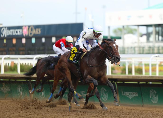 Two horses on final stretch.JPG