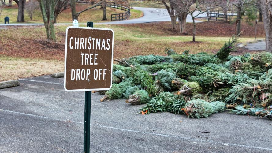 Holiday cleanup Christmas tree dropoff locations offered in