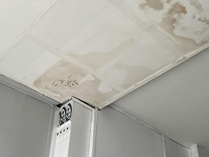 Mold pushing out Louisville business owner