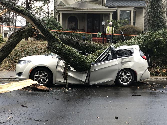 STORMS 3-14-19 - TREE ON A CAR - HEPBURN AVE - HIGHLANDS - JOHN BEGLEY.jpg