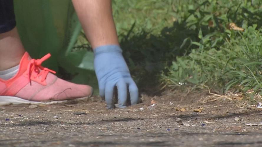 Taylor-Berry Clean-up.jpg