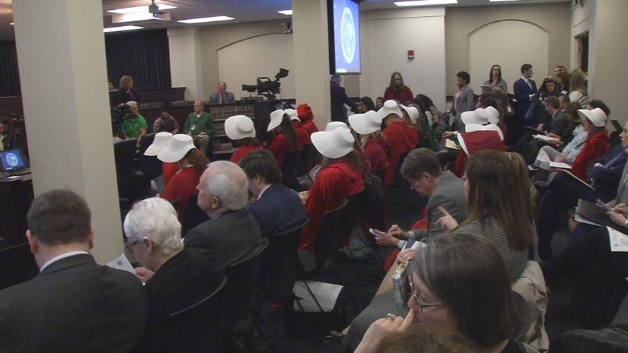 Protesters in Handmaid's Tale attire sit as lawmakers debate abortion bills