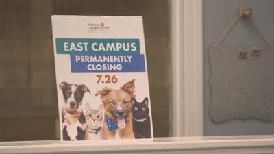 HUMANE SOCIETY EAST END.jpeg