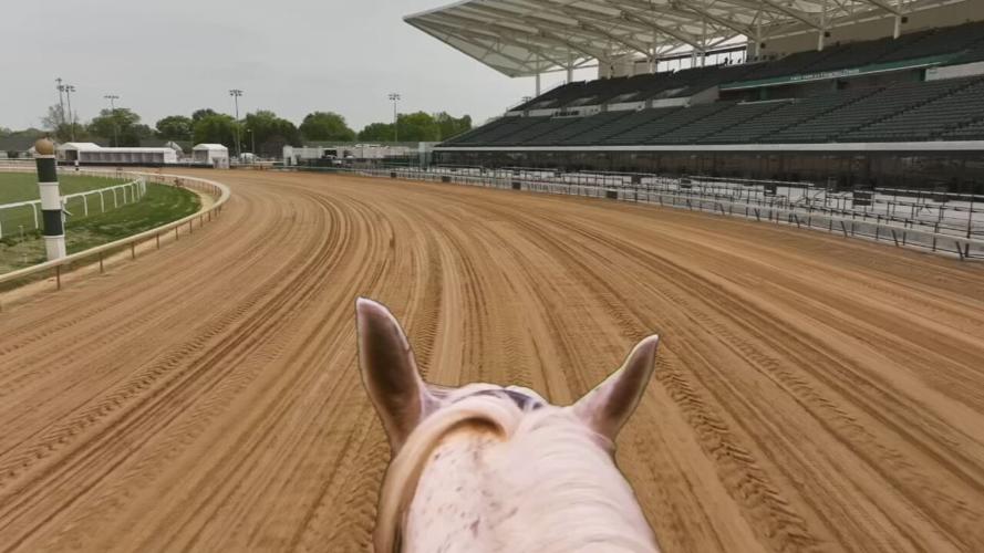 through the eyes of a horse 1