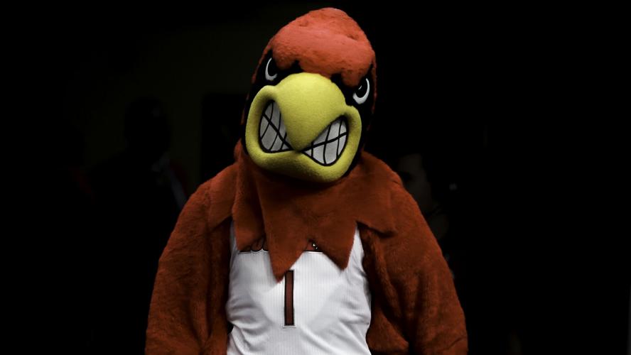 Louisville Cardinals Mascot Pin