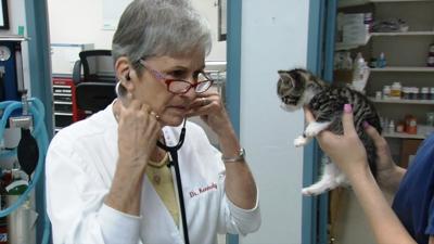 SUNDAY EDITION | Questions, confusion as Kentucky prepares for new sales taxes