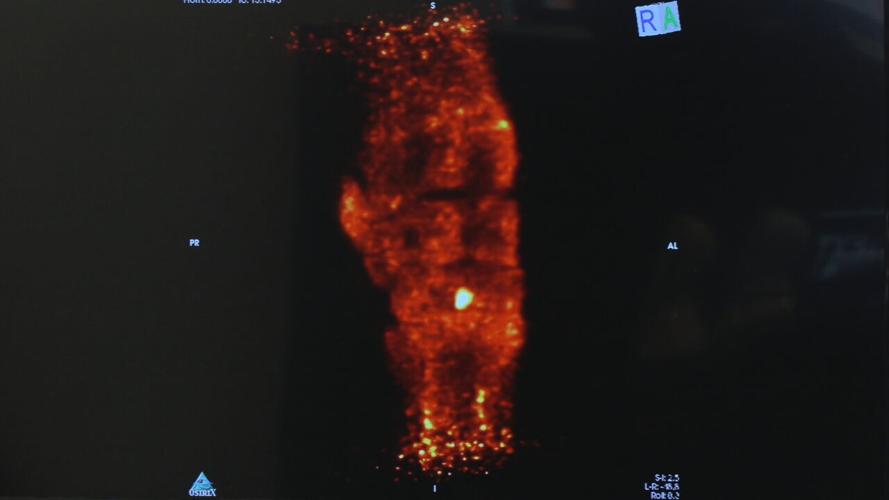 CHURCHILL EQUINE PET IMAGING