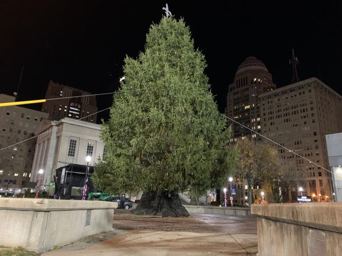 LIGHT_UP_LOUISVILLE.jpg