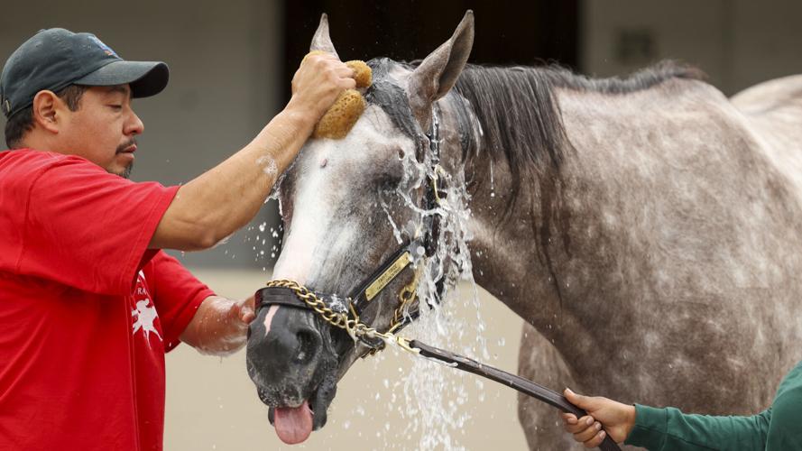 Tapit Trice