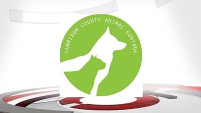 Harrison County animal control shelter logo