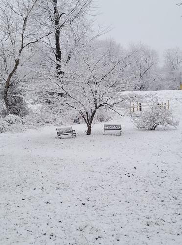 Snow 1-27-21 (5).jpg