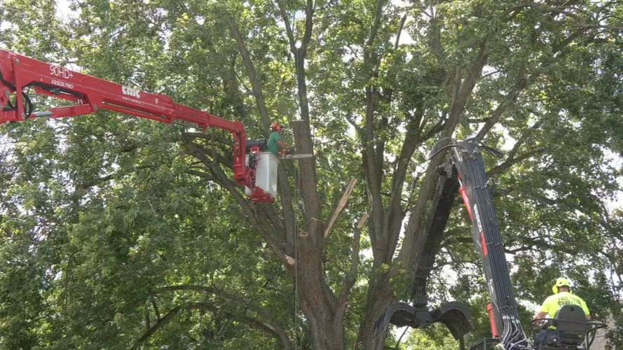 Louisville storm cleanup efforts