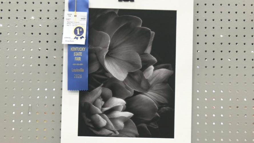 Kentucky State Fair art accused of AI