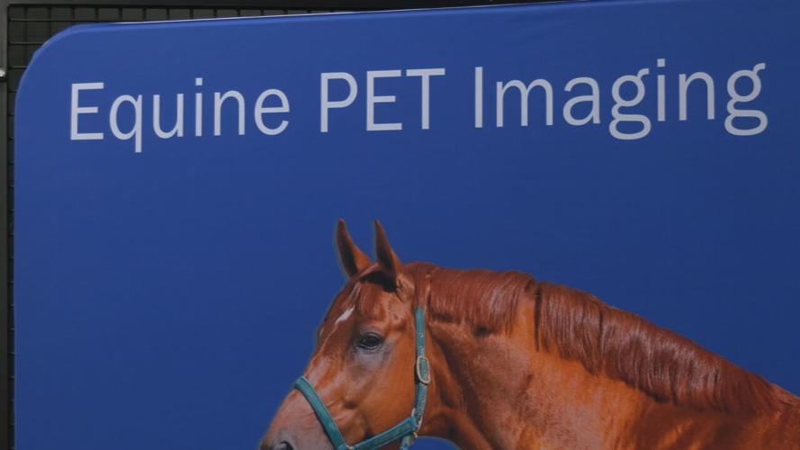 CHURCHILL EQUINE PET IMAGING