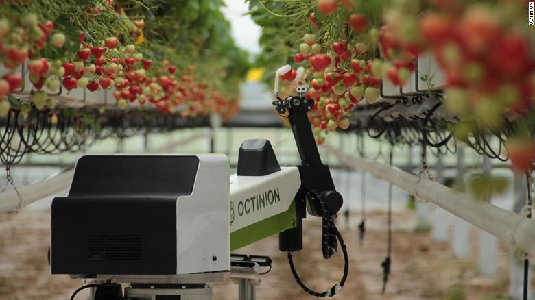 Octinion robot via AP.jpg