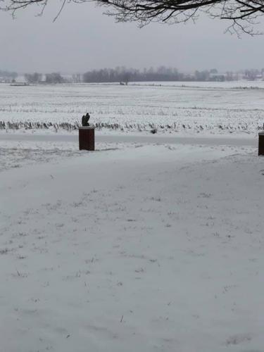 SNOW - SALEM INDIANA - REBECCA RAGSDALE.jpg