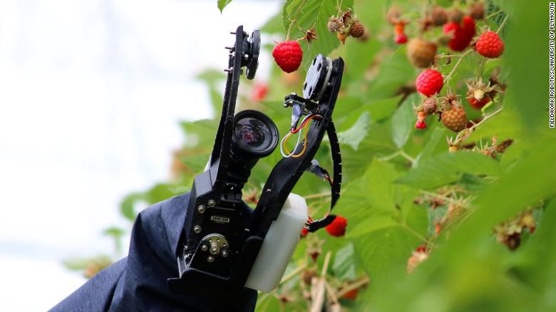 Fieldwork Robotics robot via AP.jpg