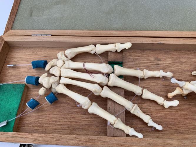 Preparations for the 2019 Louisville Zombie Walk-20.jpg